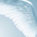 ミラコレ2017発売!!今年は天使は「思いやりの天使」と「シャクヤク」の花