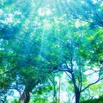 特に夏の季節は気をつけてほしい!熱中症・日射病とその対策方法