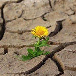 どうして髪の毛はパサパサになる?髪の乾燥の原因と対策方法
