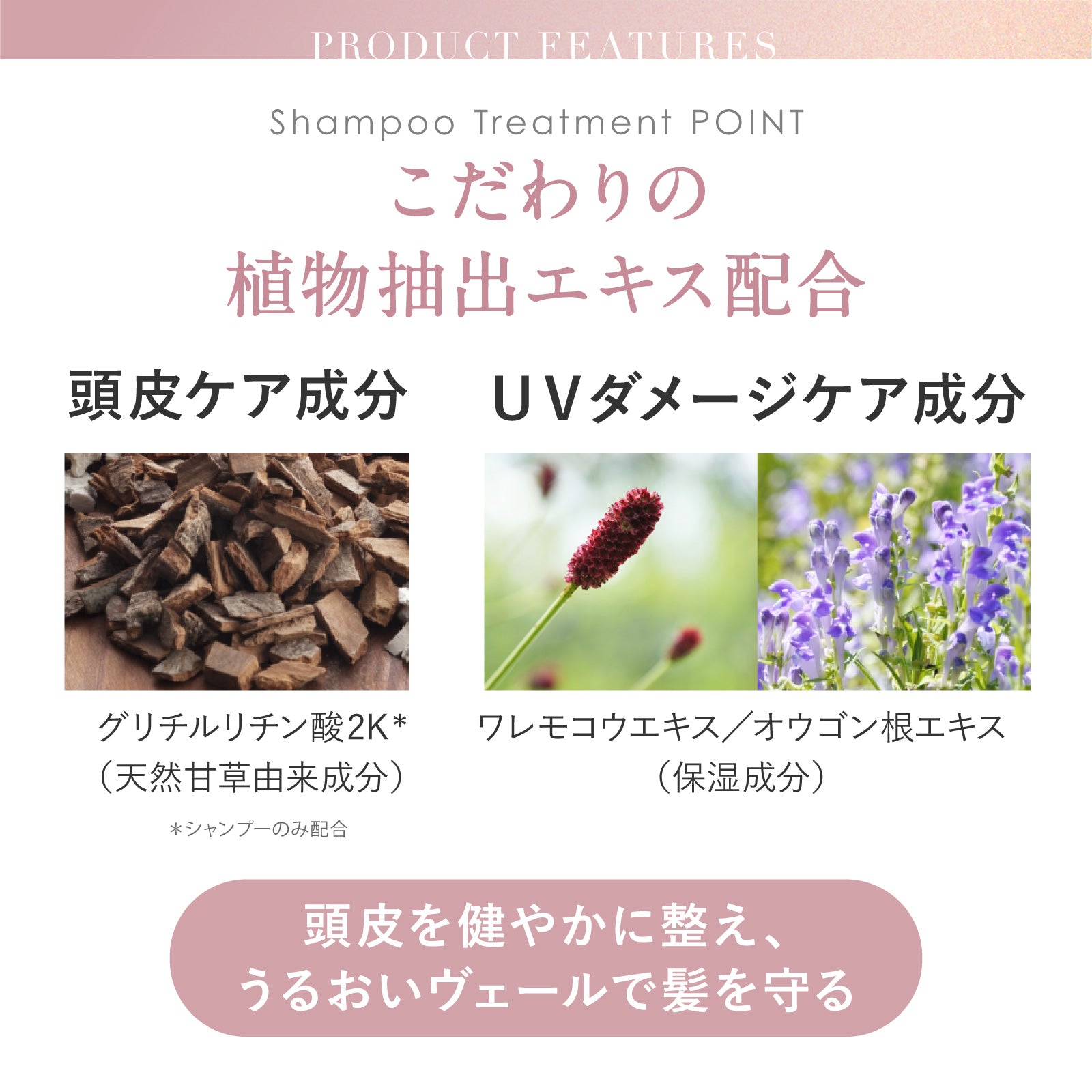 【アミノマスター】モイストリッチシャンプー