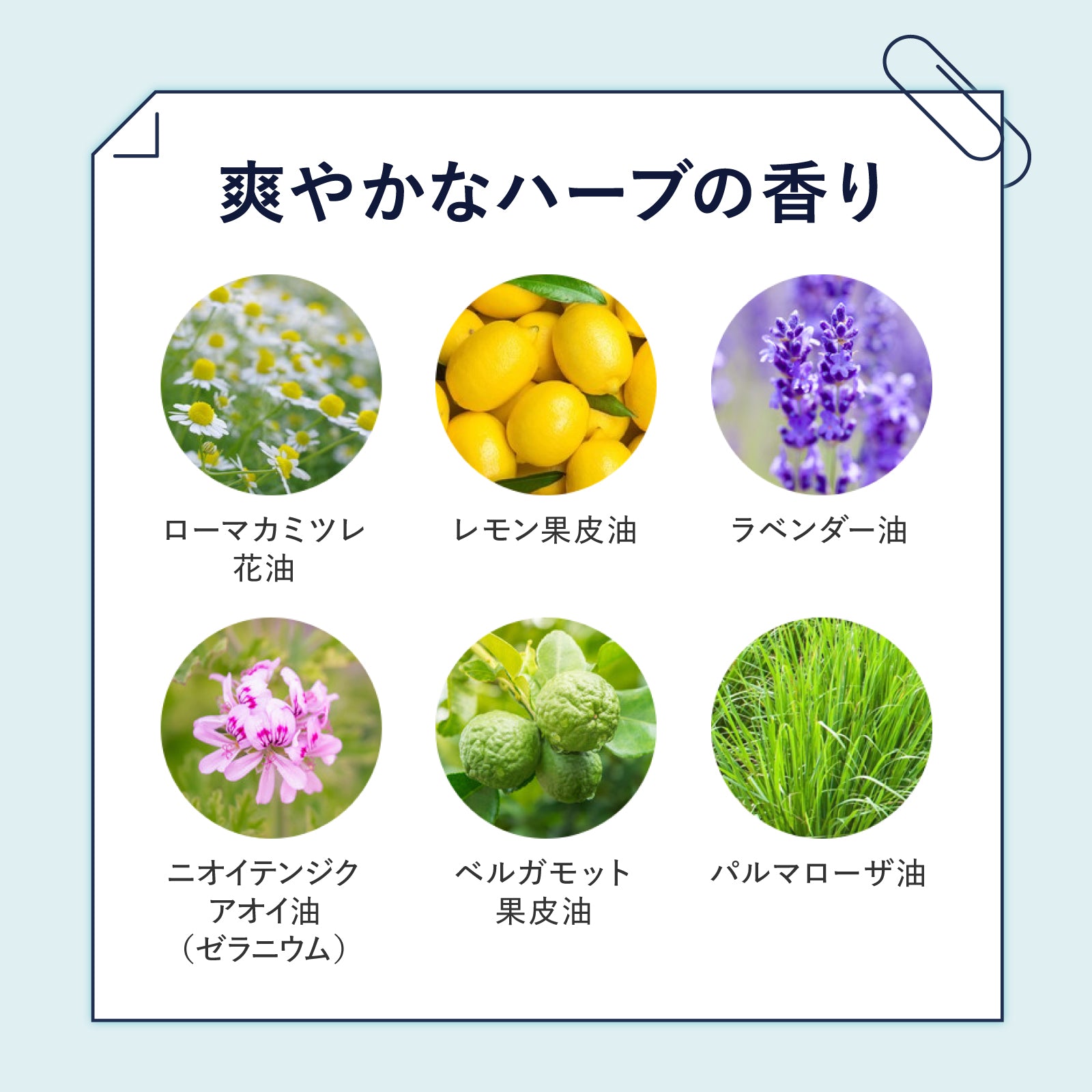 【Final DEo+】薬用デオドラントクリーム 25g
