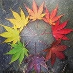お肌の代謝（ターンオーバー）はどうして乱れてしまう？その原因と対策方法をチェック！