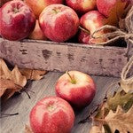 秋冬が旬のフルーツといえばりんご！アップルがほのかに香るコスメ＆スキンケア！
